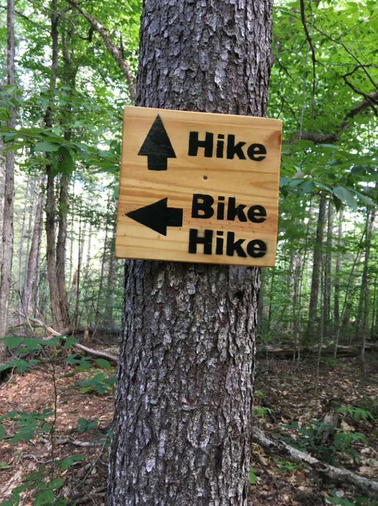 Active Lifestyle-hiking-biking
