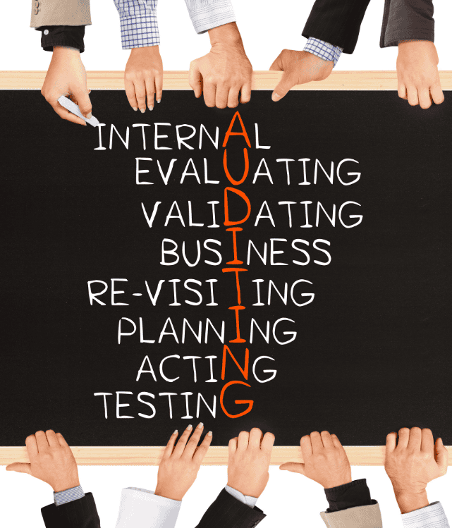 Audit Liaison