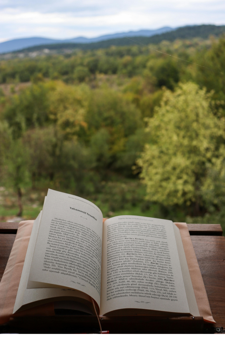 Reading